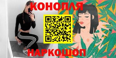 сатива Коммунар