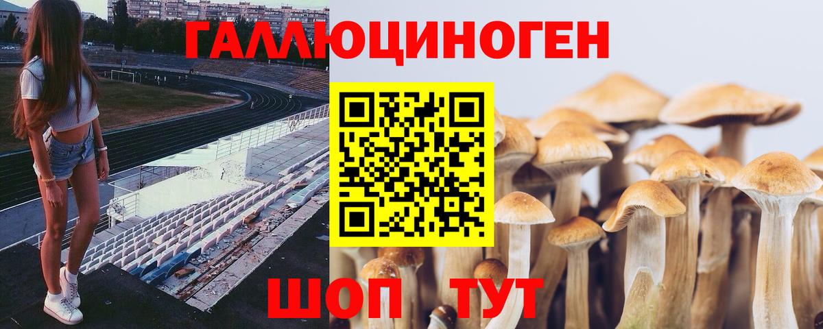 Красный Сулин  Псилоцибиновые грибы Psilocybe  где продают наркотики  Вход с VPN  Псилоцибиновые грибы Psilocybine cubensis 